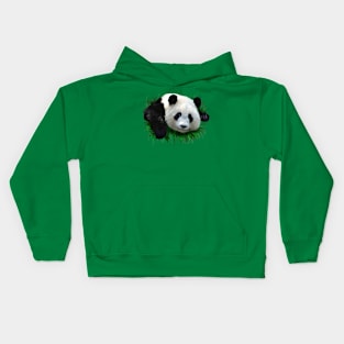 Panda Kids Hoodie